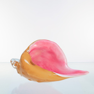 Glass Shell natural Color