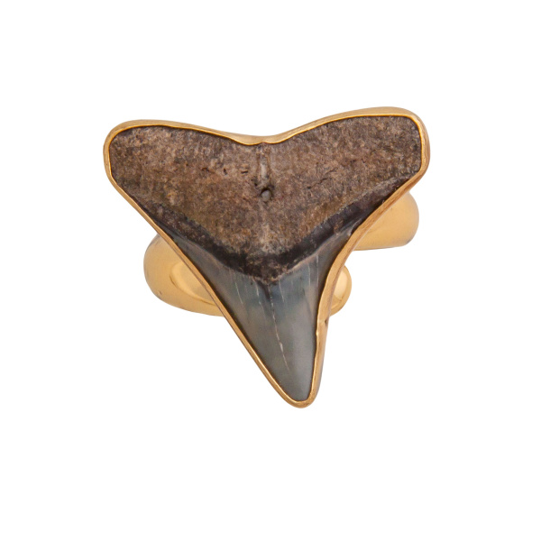 Alchemia Mini Fossil Shark Tooth Adjustable Ring