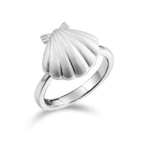 SS Shell Ring